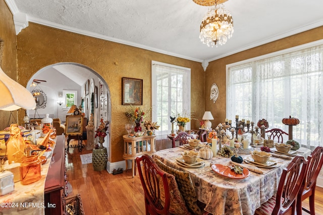 dining space with light wood-type flooring, a healthy amount of sunlight, and crown molding