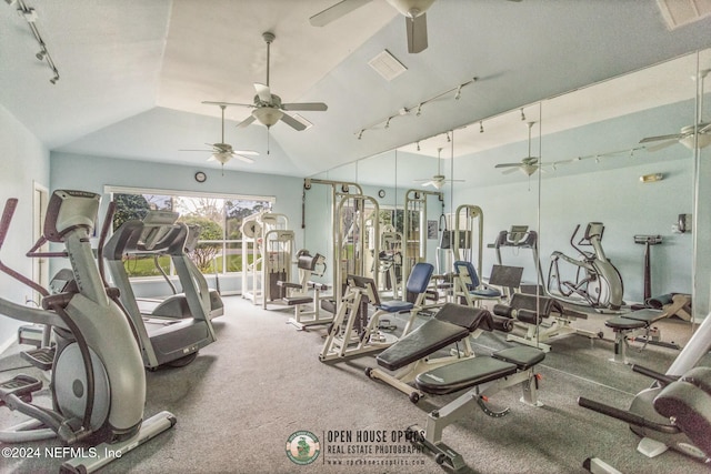 gym with vaulted ceiling and rail lighting