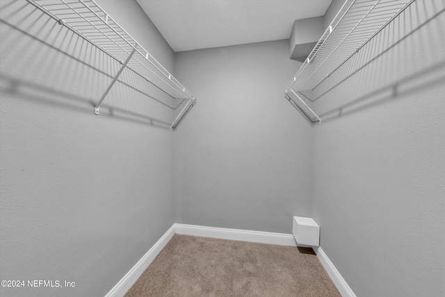 walk in closet featuring carpet floors