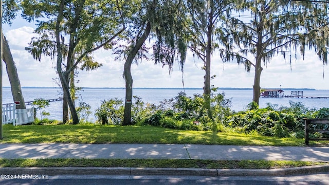 view of water feature