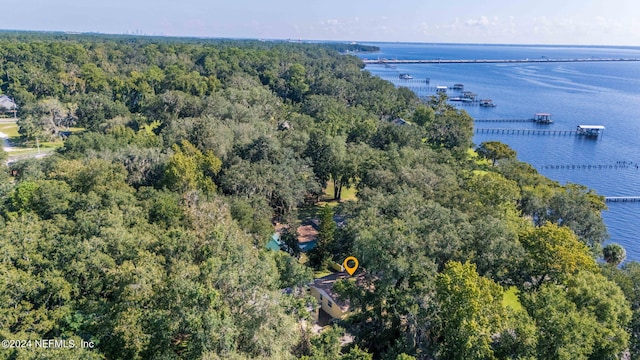 drone / aerial view with a water view