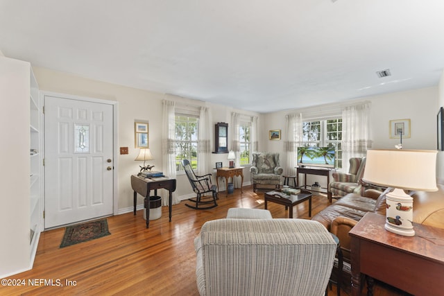 living room featuring wood-type flooring