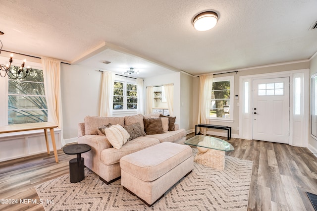 living room with hardwood / wood-style flooring, a textured ceiling, and a healthy amount of sunlight