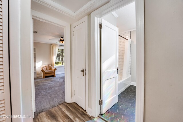 corridor featuring dark wood-type flooring and crown molding