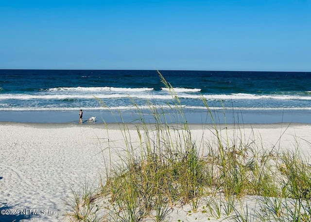 view of water feature featuring a beach view