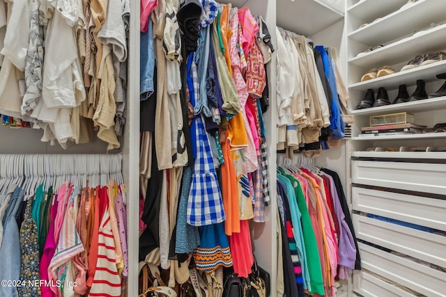 view of walk in closet