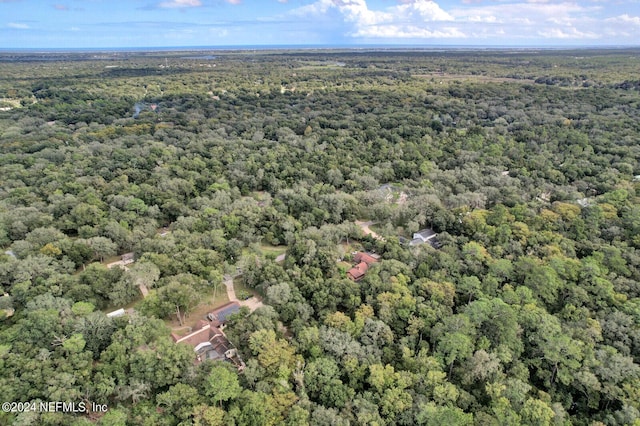 3565 Red Cloud Trl, Saint Augustine, FL 32086 - aerial view with a forest view