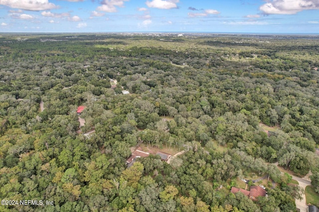 3565 Red Cloud Trl, Saint Augustine, FL 32086 - bird's eye view featuring a forest view