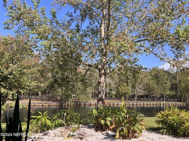 view of yard with a water view