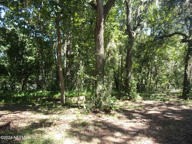 114 River Road Dr, Palatka FL, 32177 land for sale