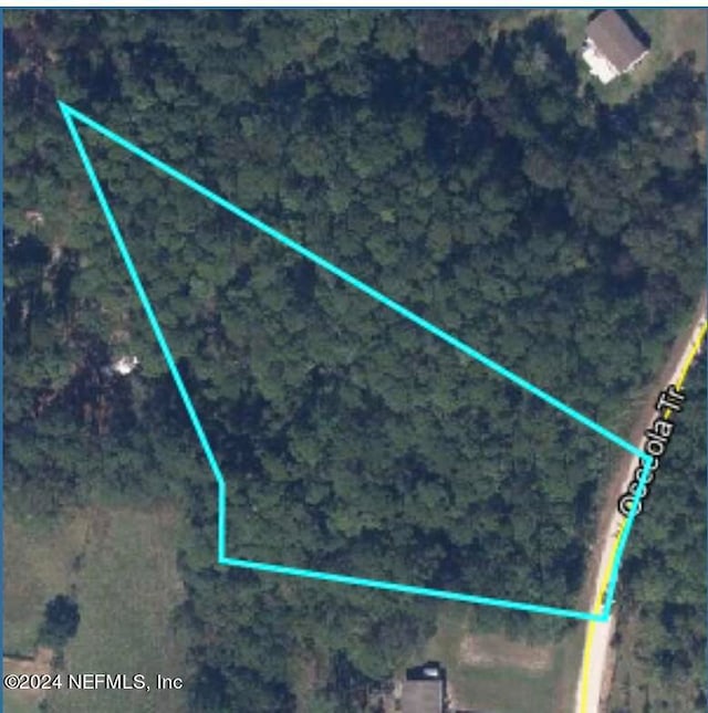 Listing photo 3 for 0 Osceola Trl, Middleburg FL 32068