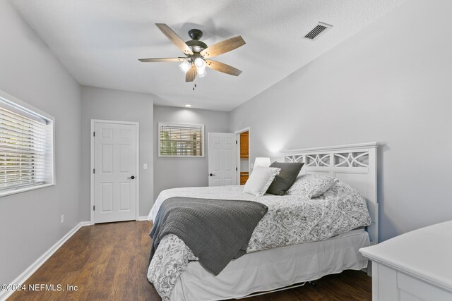 bedroom with a textured ceiling, multiple windows, ceiling fan, and dark hardwood / wood-style flooring