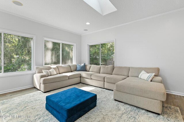 living room featuring hardwood / wood-style floors, a skylight, and a wealth of natural light