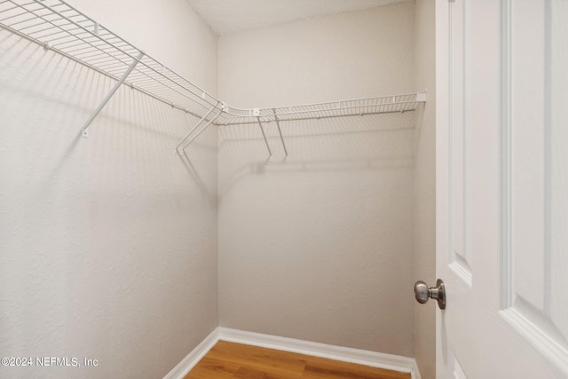 spacious closet with wood-type flooring