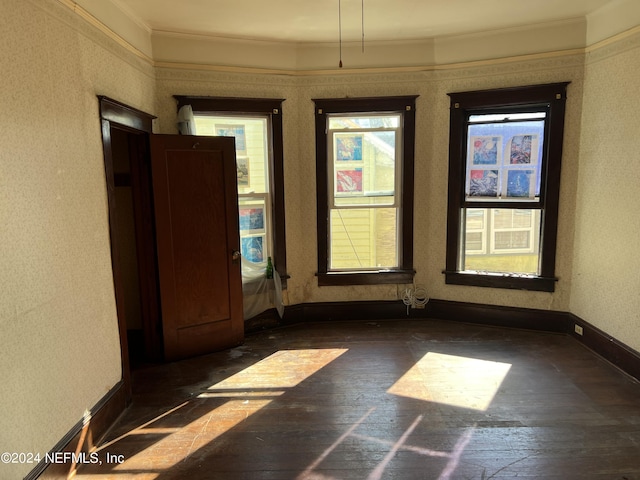 spare room featuring ornamental molding and dark hardwood / wood-style floors