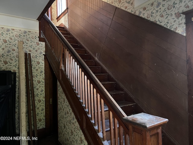 staircase with wood walls