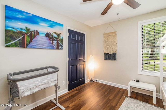 entrance foyer featuring ceiling fan and dark hardwood / wood-style flooring