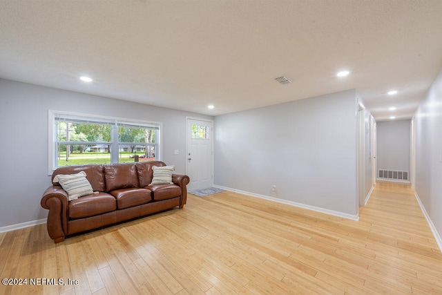 living room featuring light wood-type flooring