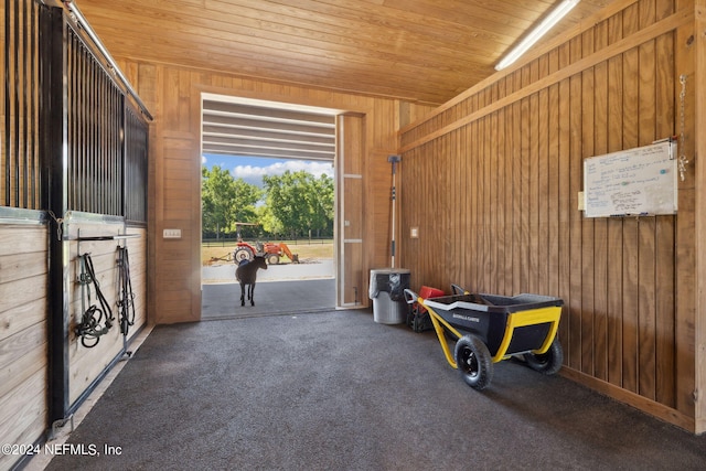 view of horse barn