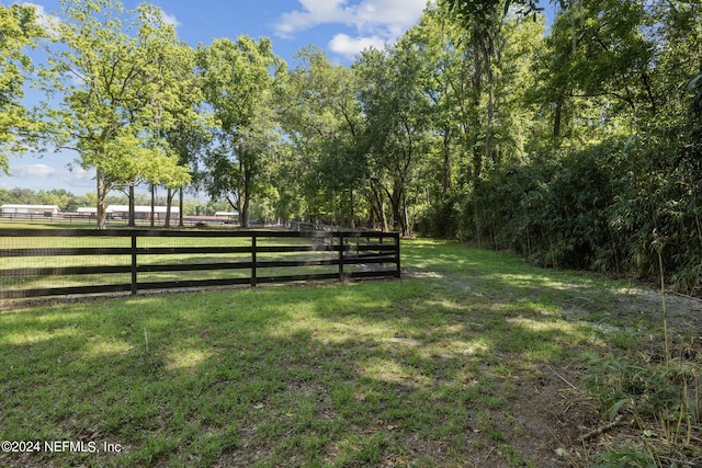 view of yard with a rural view