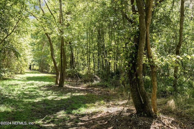 view of local wilderness