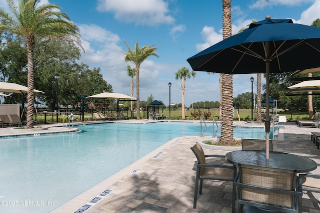 view of pool with a patio