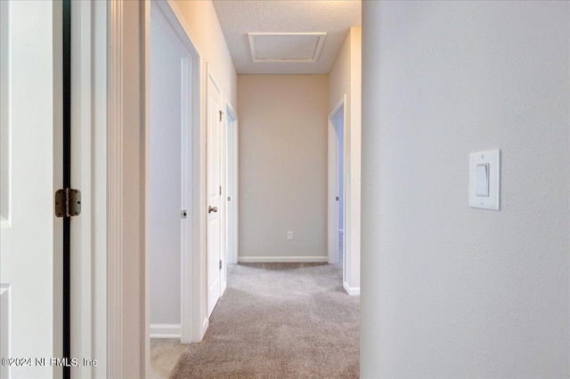 hallway with light carpet and a textured ceiling