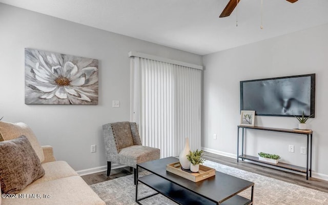 living room featuring ceiling fan and hardwood / wood-style flooring