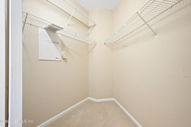 96316 Ridgewood Cir, Fernandina Beach, FL 32034 - walk in closet with carpet