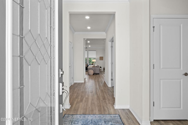 interior space featuring light hardwood / wood-style floors and crown molding