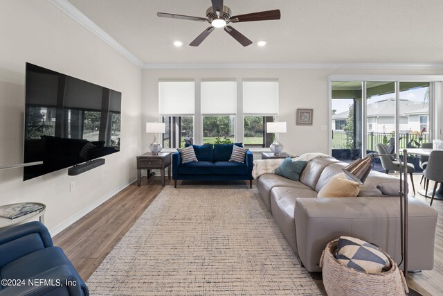 living room featuring ceiling fan, light wood-type flooring, and crown molding