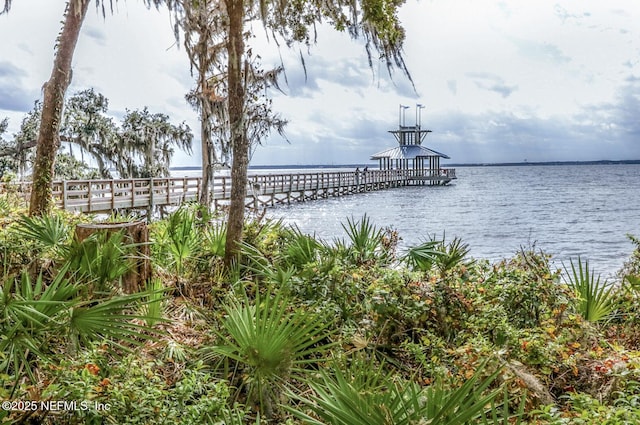 dock area featuring a water view