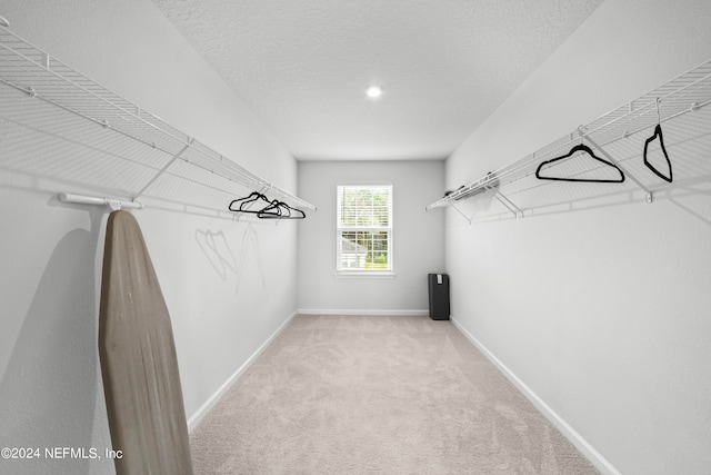 walk in closet featuring light colored carpet