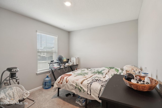 bedroom with carpet floors