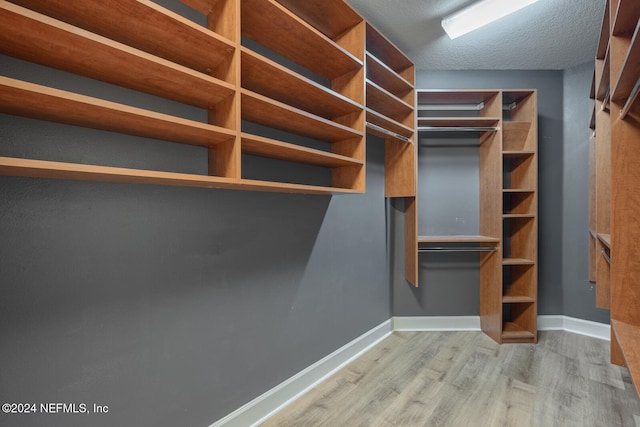 spacious closet featuring light hardwood / wood-style flooring