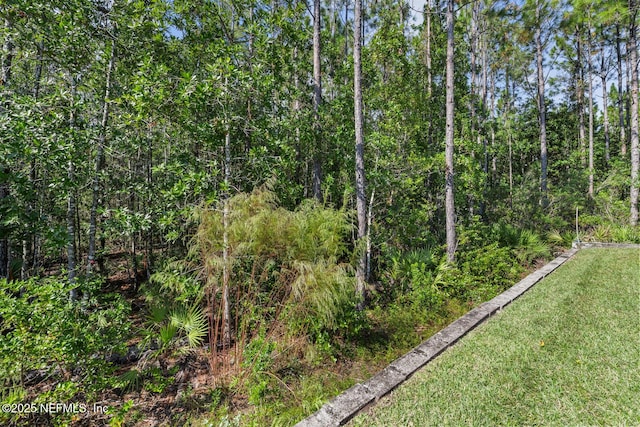 11080 Engineering Way, Jacksonville, FL 32256 - photo 41