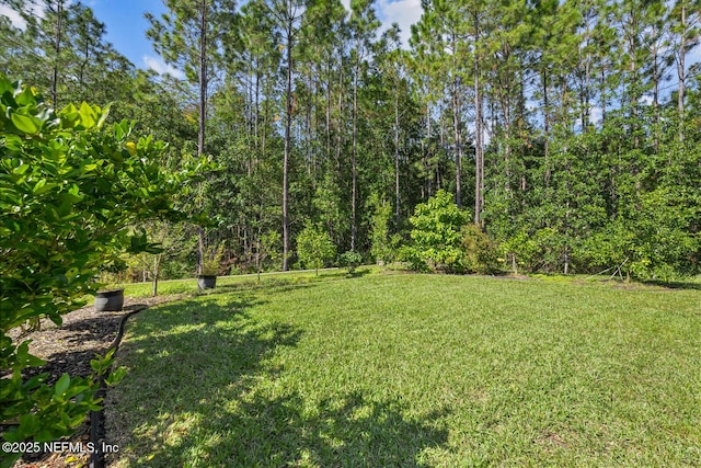 11080 Engineering Way, Jacksonville, FL 32256 - photo 43