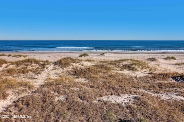 water view featuring a beach view