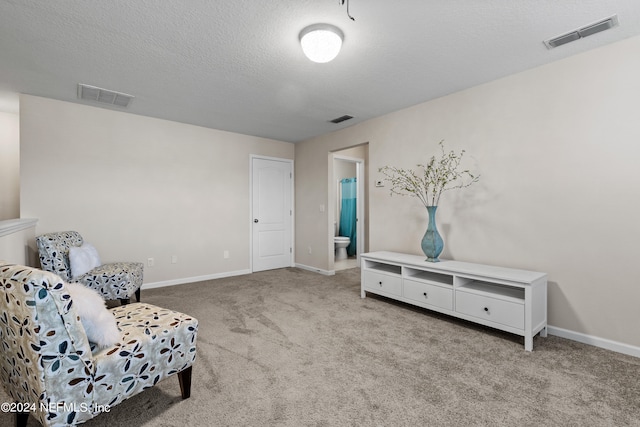 sitting room featuring a textured ceiling and carpet flooring