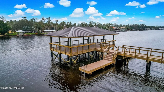 dock area with a water view