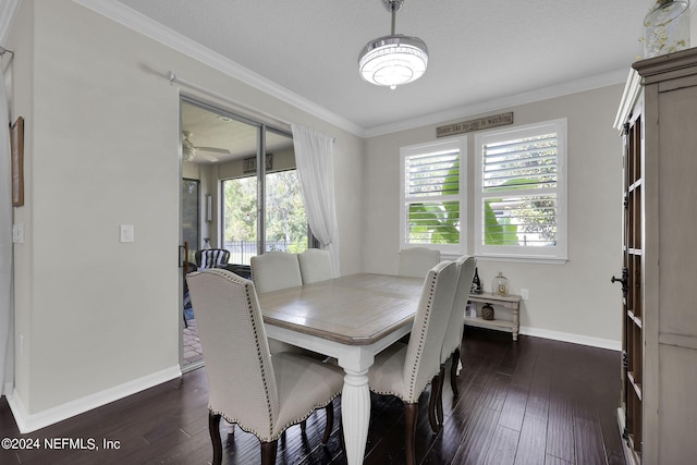 dining room featuring dark hardwood / wood-style floors, ornamental molding, and a textured ceiling