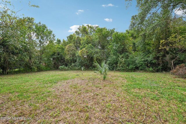 780 Gardenia Ln, Jacksonville, FL 32208 - photo 32