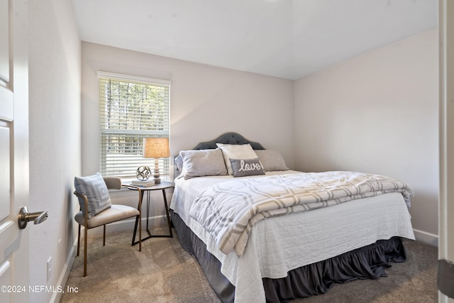 bedroom with carpet floors