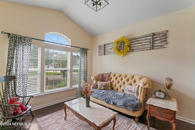 living area featuring dark hardwood / wood-style flooring and vaulted ceiling