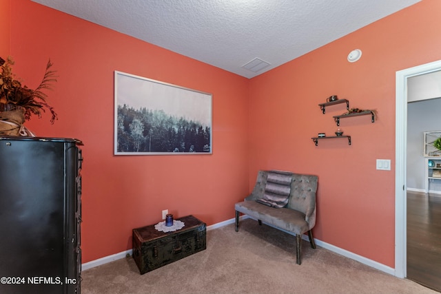 sitting room with a textured ceiling and light colored carpet