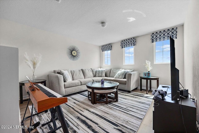 living room with a textured ceiling and hardwood / wood-style flooring