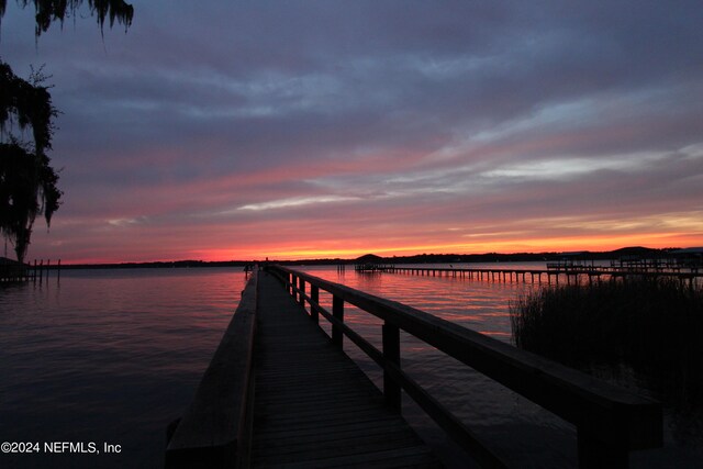 dock area with a water view