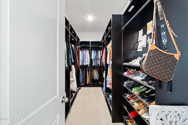 walk in closet with carpet floors