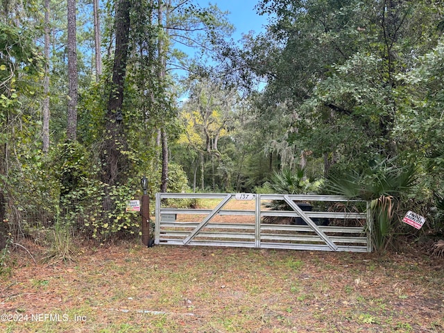 157 Pine Tree Rd, Palatka FL, 32177 land for sale