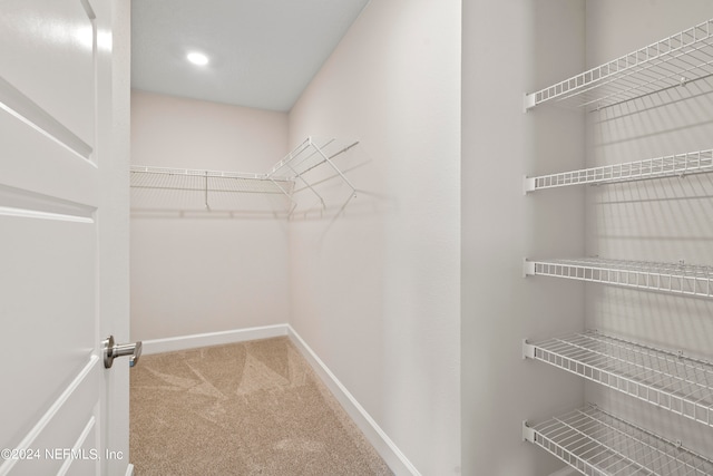 walk in closet with carpet